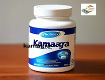 Vente de kamagra en france